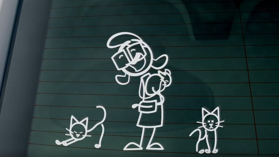 Honor Credit Union - Zero Cats